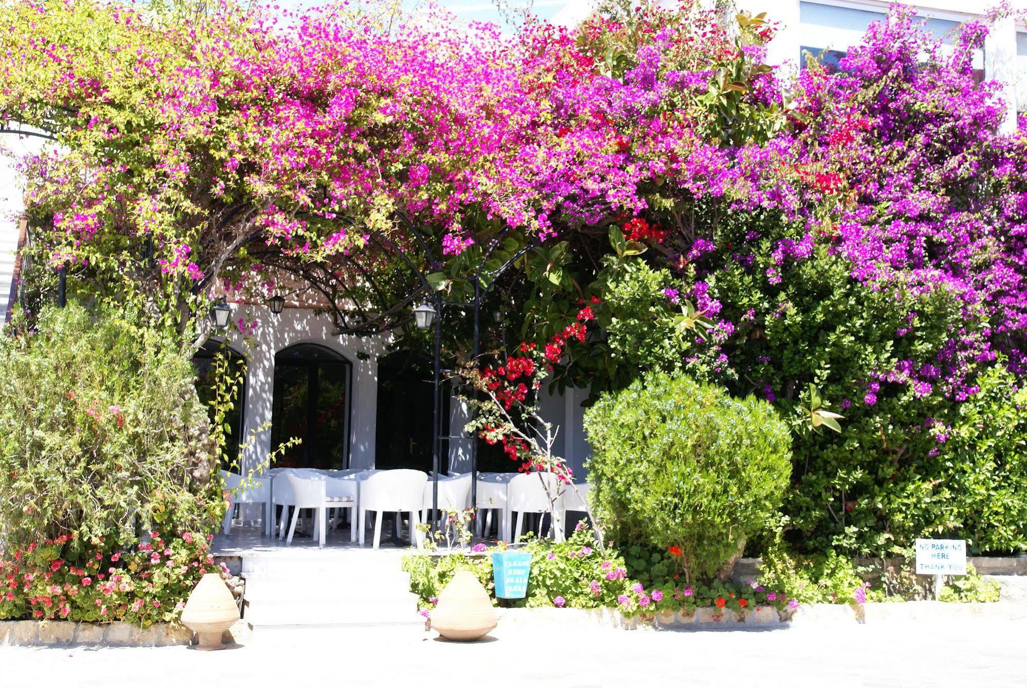 Skala Hotel Bagian luar foto